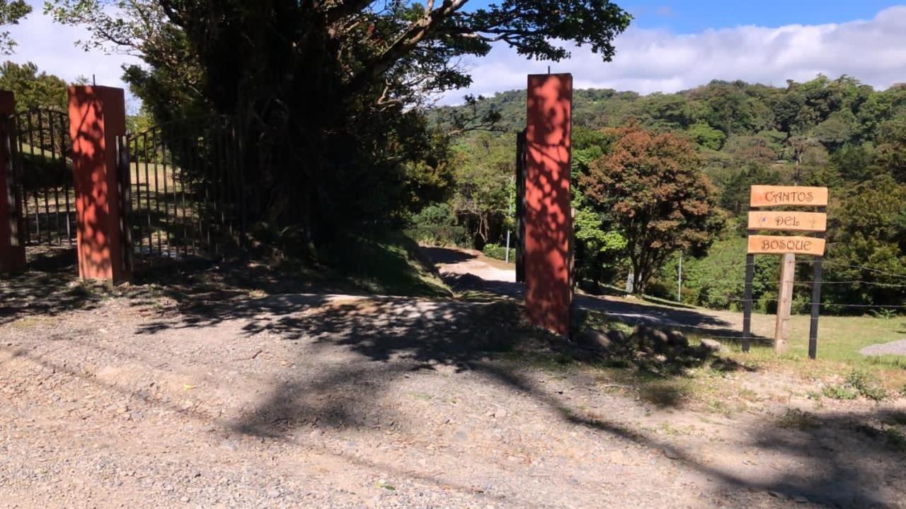 Cantos Del Bosque Monteverde Exteriör bild