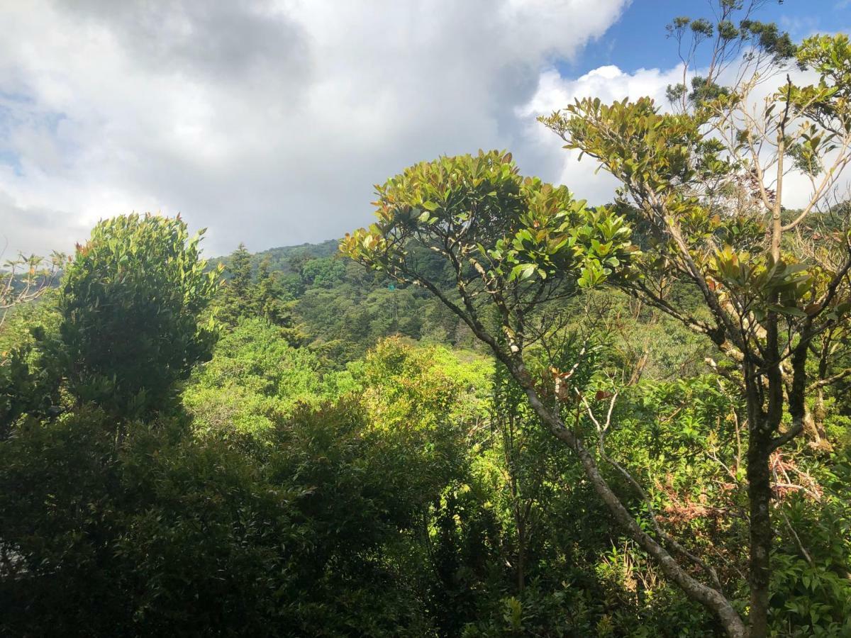 Cantos Del Bosque Monteverde Exteriör bild